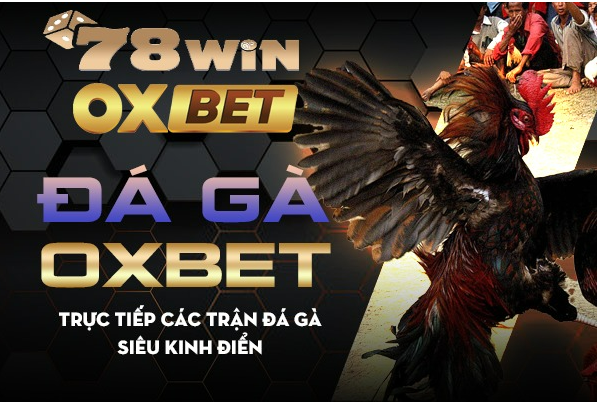 Đá gà Oxbet - trực tiếp các trận đá gà siêu kinh điển