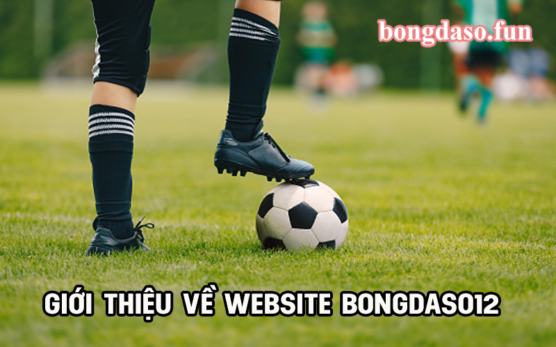 Bongdaso 12 - Website bóng đá uy tín hàng đầu Việt Nam